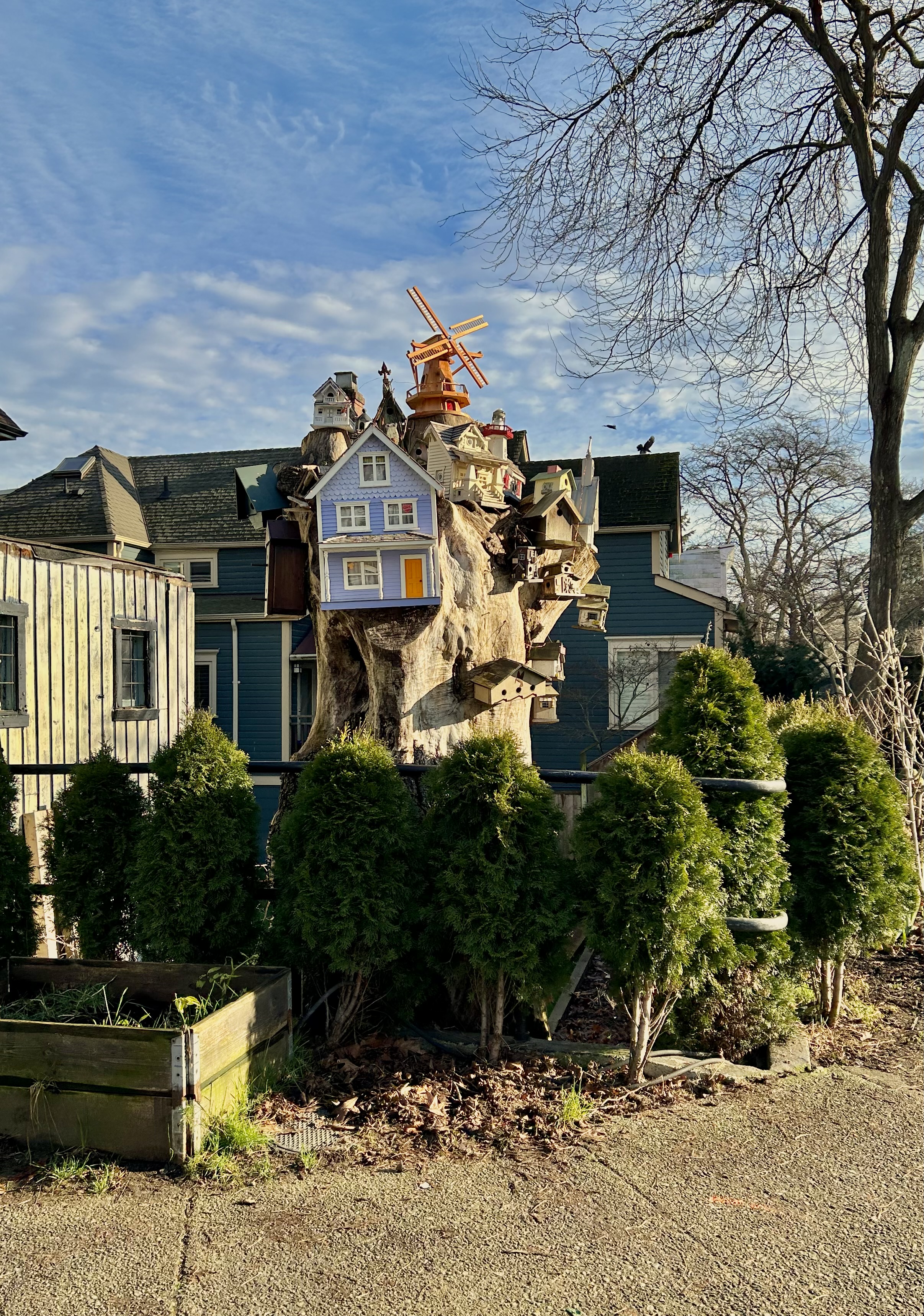 Strathcona neighbourhood photograph